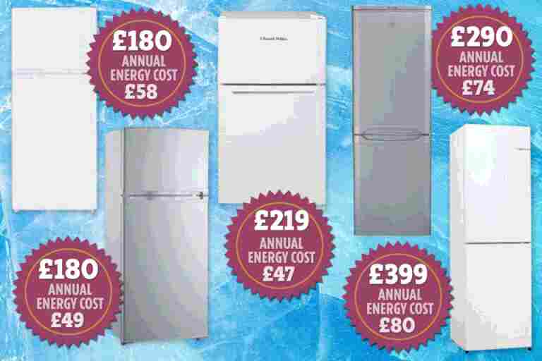 The 10 best and cheapest fridge freezers and how much they cost to run